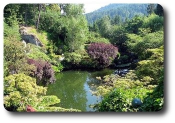 Permaculture zeppa holzera, platformă de conținut