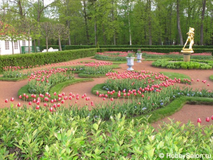 Peterhof (petrodvorets), sau o excursie la 