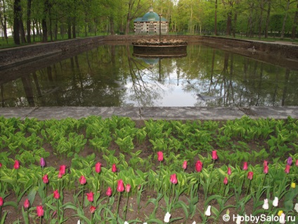 Peterhof (petrodvorets), sau o excursie la 