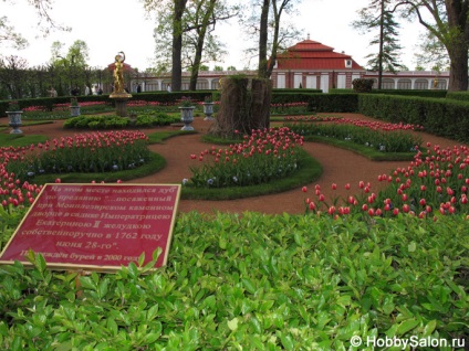 Peterhof (petrodvorets), sau o excursie la 