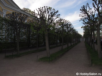 Peterhof (petrodvorets), sau o excursie la 