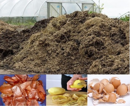 Deșeuri alimentare ca îngrășământ pentru grădină