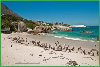 Plajă vacanță în Africa de Sud, turism