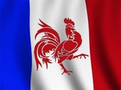Miért van a szimbólum a francia kakas