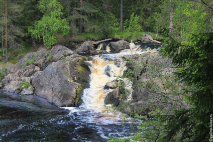 Excursie la Karelia