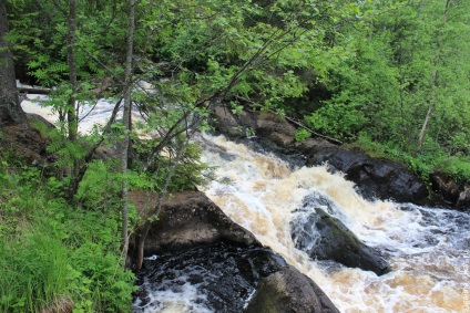 Excursie la Karelia