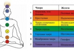 Fiul decedat al unui Vanga, Miller, Freud, Felomen, tânăr, interpretare gratuită online a visului