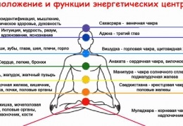 Fiul decedat al unui Vanga, Miller, Freud, Felomen, tânăr, interpretare gratuită online a visului