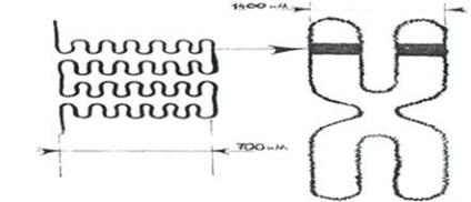 Félautonóm organellum szerkezete és működése