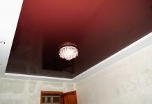 Таван лампи за ниски тавани във всяка стая, снимката на ниската в хола, за помещения в