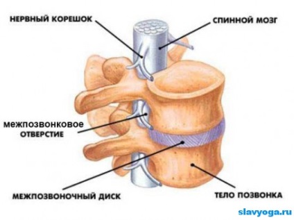 Deformări înapoi în yoga, yoga, slavyoga