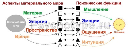 Funcțiile mentale în sociologie, școala de sociologie fizionomică