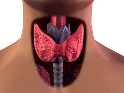 Bolile psihosomatice ale glandei tiroide