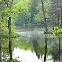 Rezervația Pustynsky, Nižni Novgorod - cartier de afaceri