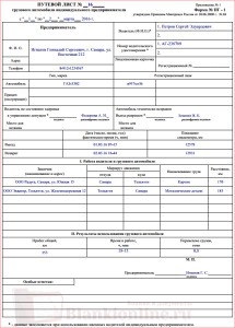 Foaia de parcurs a camionului Ip - forma pg-1