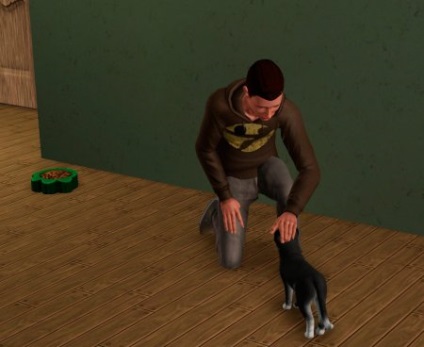 Dezvoltarea abilităților de vânătoare în animalele de companie în sims 3 abilități de vânătoare de animale de companie în sims 3, sims 3 calificare de vânătoare