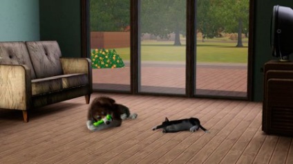 Dezvoltarea abilităților de vânătoare în animalele de companie în sims 3 abilități de vânătoare de animale de companie în sims 3, sims 3 calificare de vânătoare