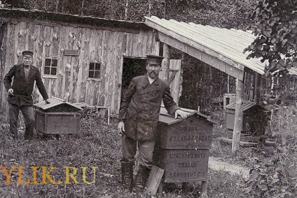 Dezvoltarea apiculturii în Rusia este industrială și practică, video