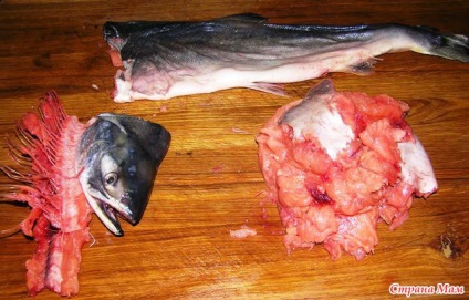 Pește umplute - bucătăria din Azerbaidjan - țara mamă