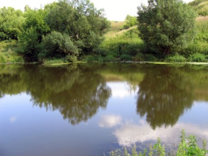 Fishing on Pakhra, hatékony módon, a Tanács, az előrejelzett fogás, akváriumi