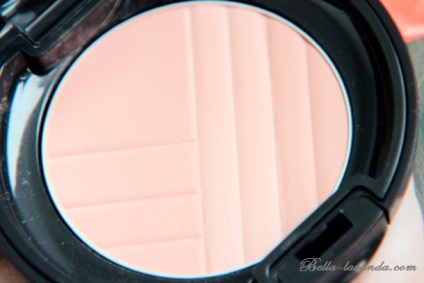 Blush sensai buzunar fard de obraz 01 yukinoshita