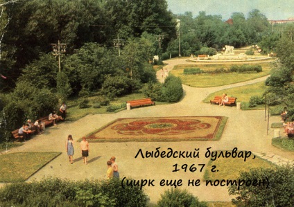 Ryazan State Circus, istorie