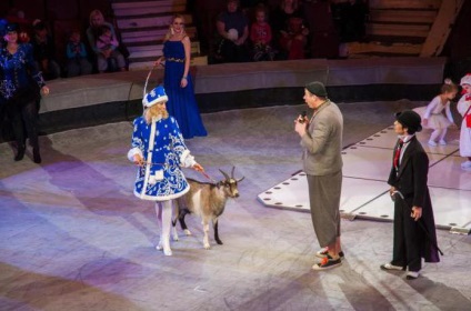 Program de circ Ryazan, fotografie