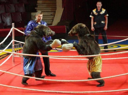 Program de circ Ryazan, fotografie