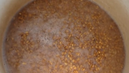 Semințe de struguri din cereale sau făină cu malț - rețetă pentru berg