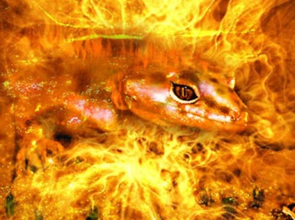 Salamanderele sunt spiritele focului, zeii vechi și eroii