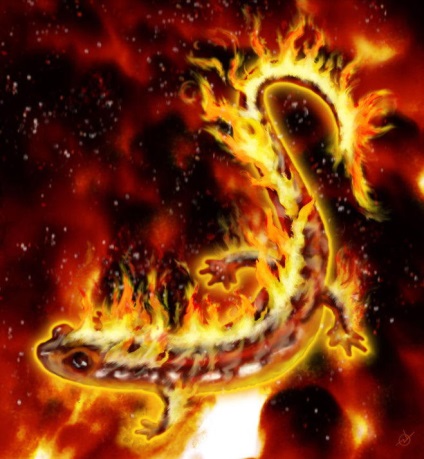 Salamanderele sunt spiritele focului, zeii vechi și eroii