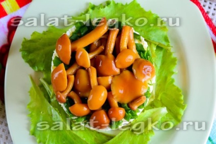 Saláta - gomba tisztás - gombával recept fotó csirkével