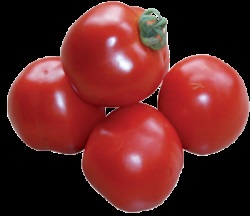 Semințe de semințe de tomate de lămâie
