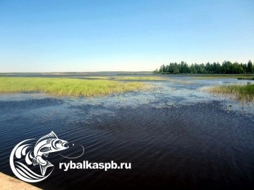 Sestroretsk deversare de pescuit va avea succes în orice moment al anului, toate lacurile din regiunea Leningrad și
