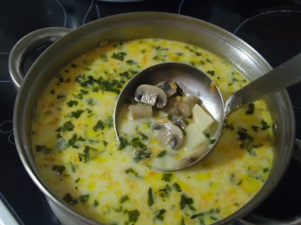 Supă de brânză cu rețetă de ciuperci