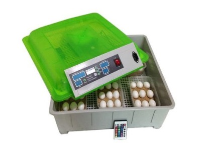 Cât costă un incubator de ou pentru 30, 60, 100 și 1000 de ouă