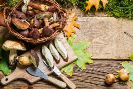 Hogyan megsütjük a gombát egy serpenyőben időben