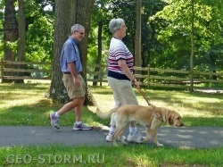 Câinii de vânătoare vin pentru a ajuta persoanele cu dizabilități