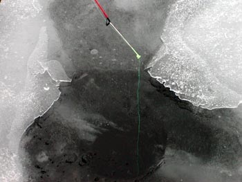 Sfaturi, secrete și nuanțe de manecile de pescuit de iarnă pe pescuitul mormyshku - ershinaya