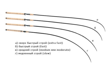 Structura de filare este lumea capturilor