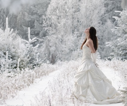 Nunta în ideile de iarnă
