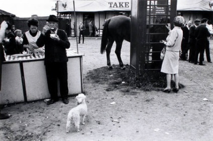 Fotografia suprarealistă și trăsăturile sale