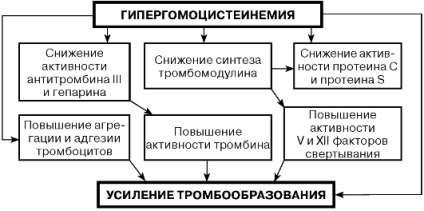 Subiectul 12 markeri moderni ai insuficienței cardiace