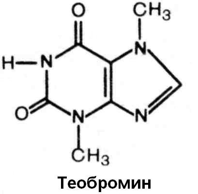 Theobromine, care sunt proprietățile, aplicațiile, caracteristicile