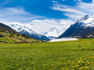 Testați dacă puteți ierta trădarea, omj