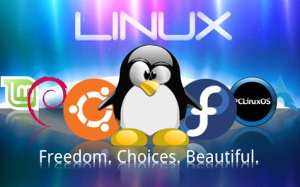 Top 10 distribuții populare de linux în 2014