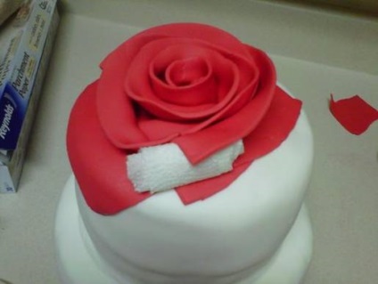 Cake - Rose - öntött