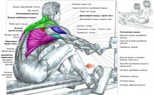 Exercițiu pe mușchii latissimus ai tracțiunii din spate a blocului inferior așezat la talie, putere extraordinară