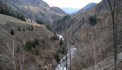 Ursula folyó - Altai turisztikai