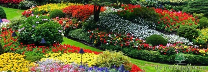Servicii pentru crearea de paturi de flori și paturi de flori în cabana dvs. de vară din Moscova și regiunea Moscova